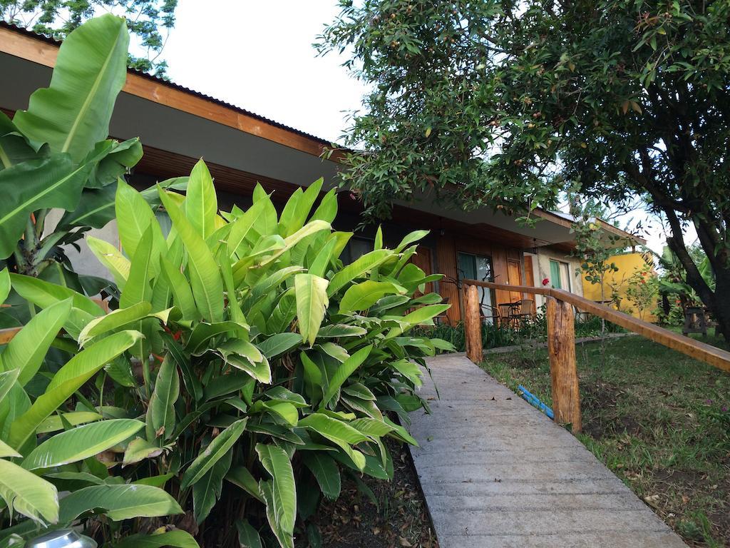 Mangai Rapa Nui Hotel Hanga Roa Phòng bức ảnh